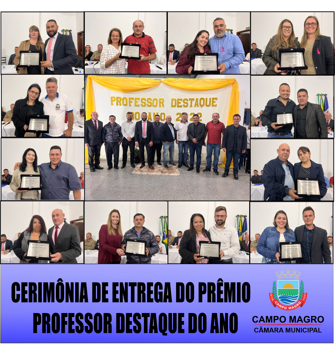 Professor Destaque do Ano 